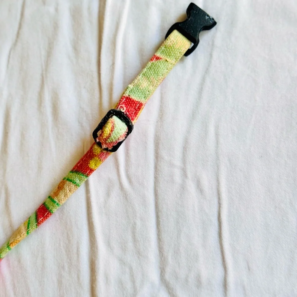 Pet Boutique Orange Yellow & Lime Green Retro Floral Fabric Skinny Dog Collar